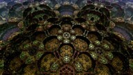 Tetra-Hex